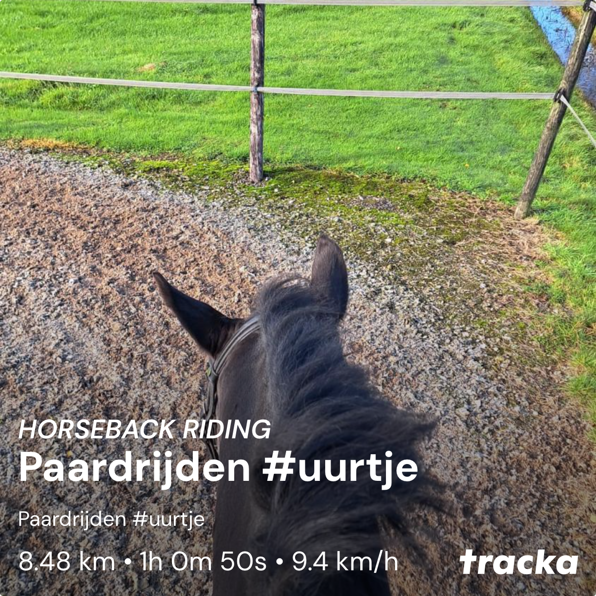 Activity of "Paardrijden #uurtje" on Tracka